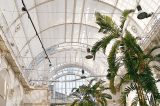 Das Deck des Palmenhauses (c) Gregor Lechner | Palmenhaus