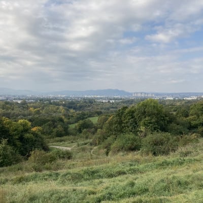 Stadtwanderweg 12: Der Blick vom Wienerberg (c) Christoph Steinhart