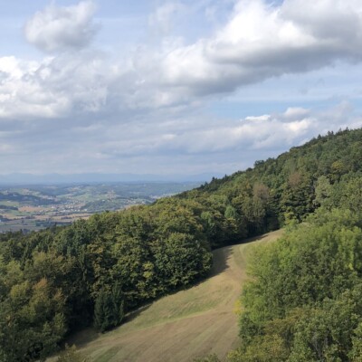 Weinwandern Steiermark