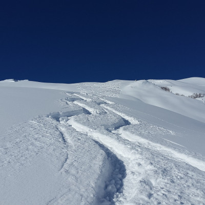 Schnee Winter Skifahren