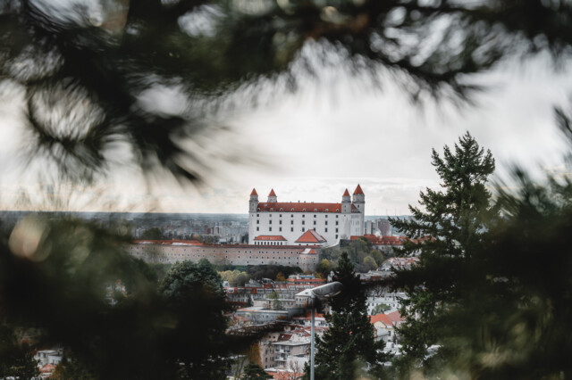 Der Blick auf die Burg Bratislava