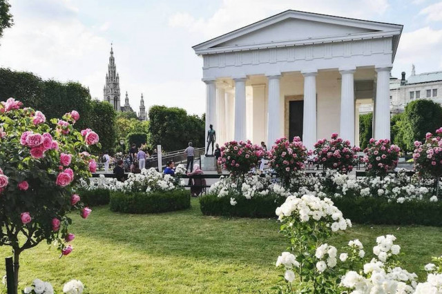 Volksgarten während Rosenblüte